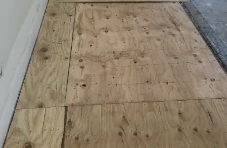 Our Work