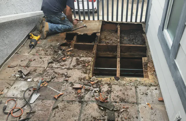 Our Work