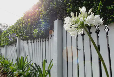 Wood Fences