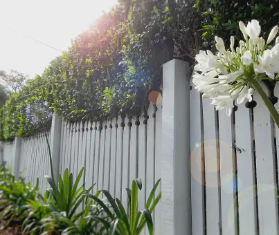 Wood Fences